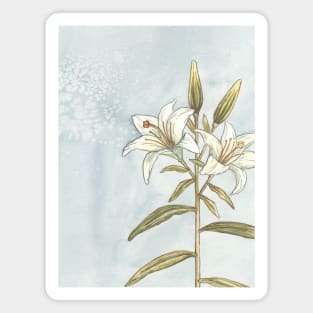 Lily - realistic watercolour illustration - painting Magnet